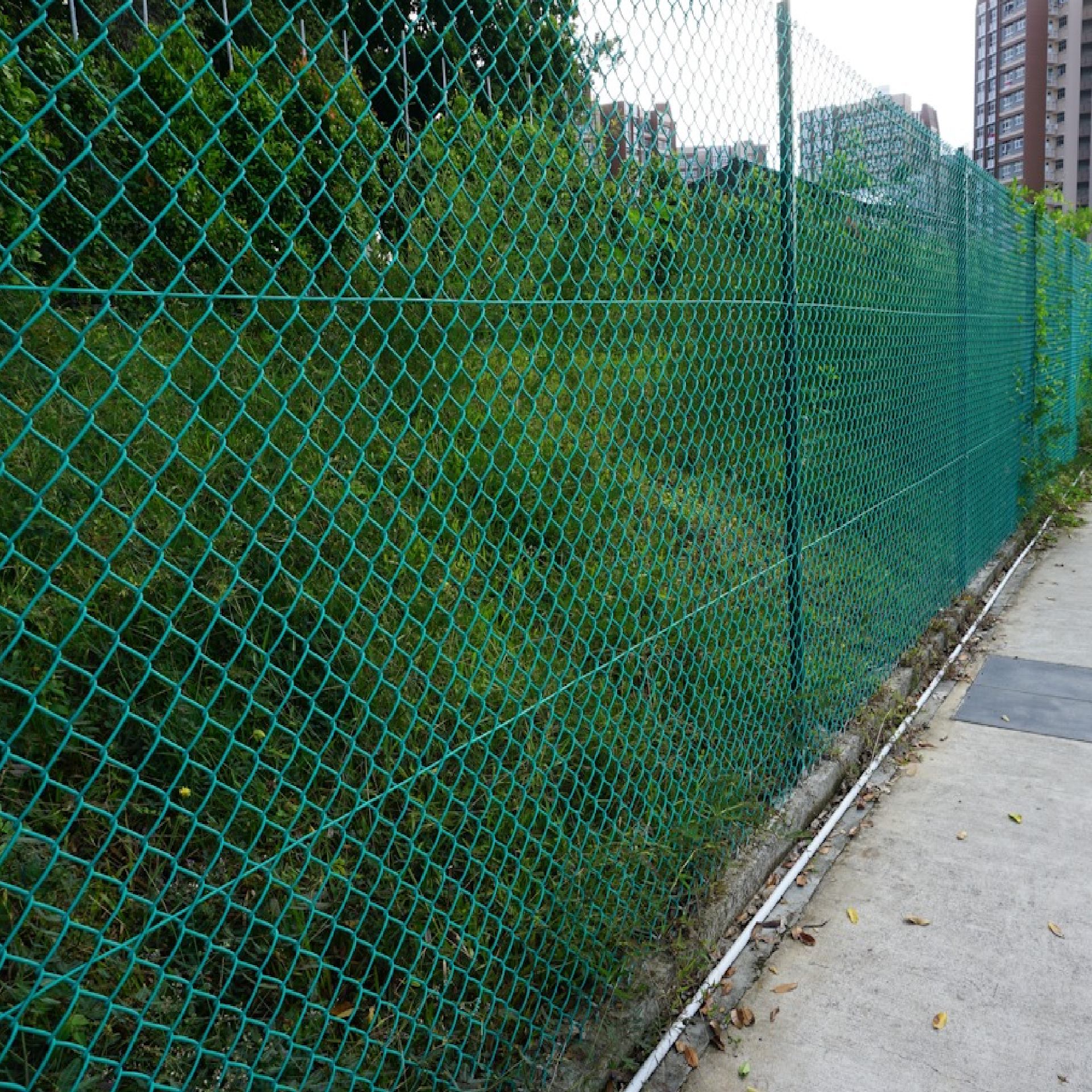 chain link fence  (9).png