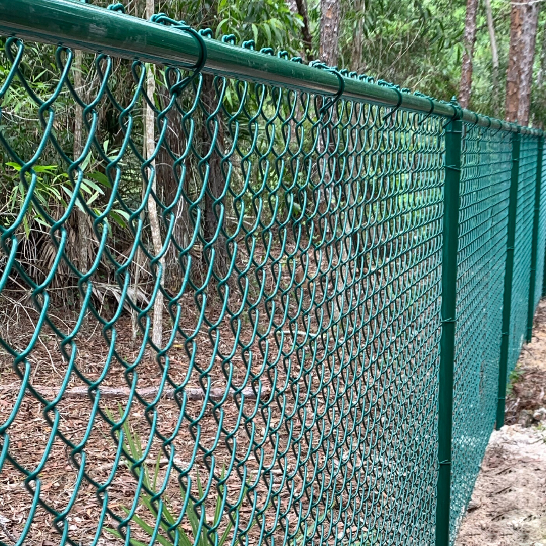 chain link fence.png